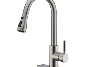 WEWE Single Handle High Arc Brushed Nickel Pull Out Kitchen Faucet