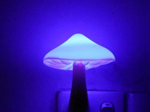 Blue Led Nigh Light