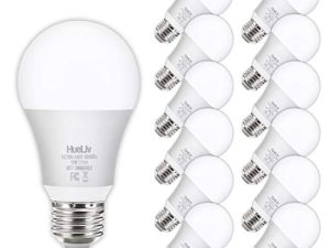 12Pack A19 LED Light Bulbs