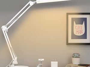 LED Desk Lamp with Clamp and Round Base