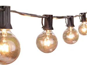 Outdoor String Lights 25 Feet G40 Globe Patio Lights with 27 Edison Glass Bulbs(2 Spare)