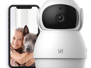 YI Pan-Tilt Security Camera