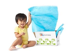 Baby Registry Welcome Box