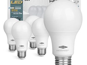 Regal LED A19 Light Bulb 5000K Daylight 800-Lumen